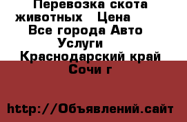 Перевозка скота животных › Цена ­ 39 - Все города Авто » Услуги   . Краснодарский край,Сочи г.